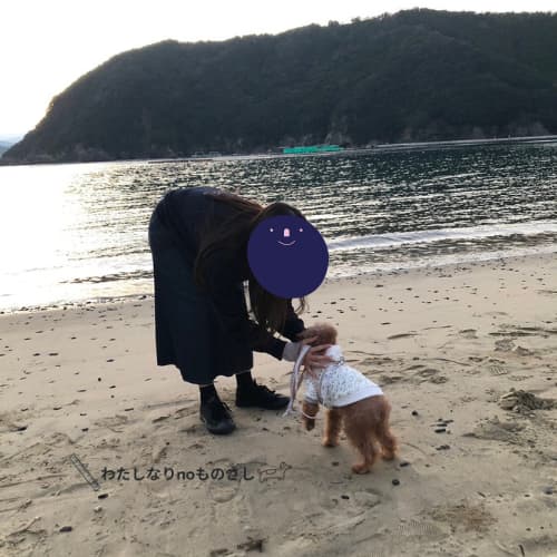 愛犬と海辺で散策