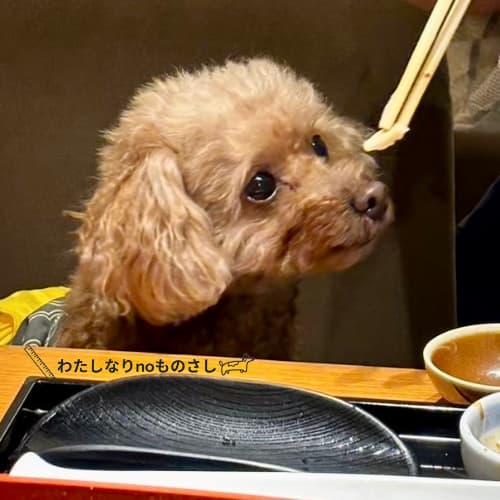 匂いを嗅いでいる愛犬