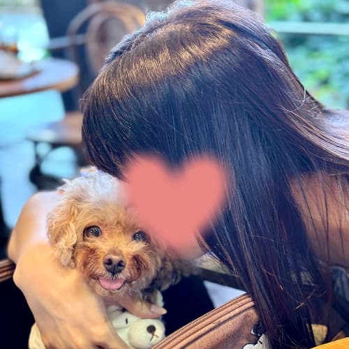 カフェで愛犬にキス