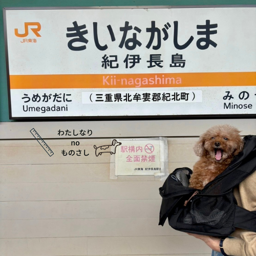 きいながしま駅での愛犬