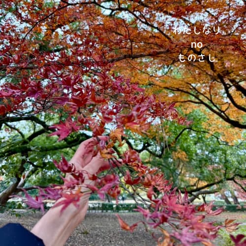 京都御苑桃林の紅葉