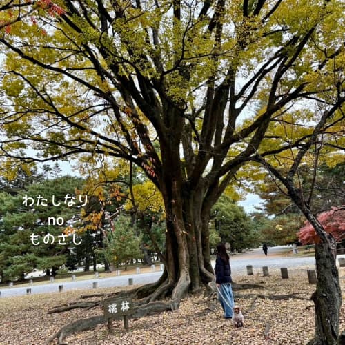 京都御苑の桃林