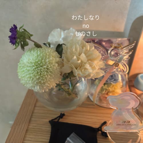 愛犬の供養花、白い丸菊