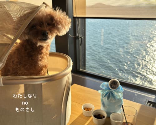 蒼の湖邸ビワフロント彦根の10階展望ラウンジで、窓越しの琵琶湖を背景にもももが過ごしている様子