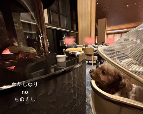 蒼の湖邸ビワフロント彦根の夜のラウンジで、愛犬もももが暖炉を覗いている様子